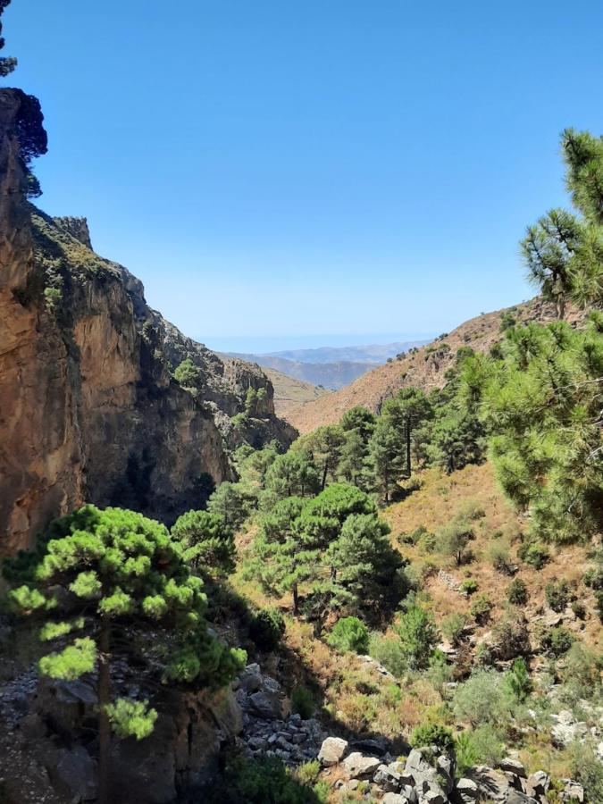Casa Montana Velez-Malaga B&B Εξωτερικό φωτογραφία